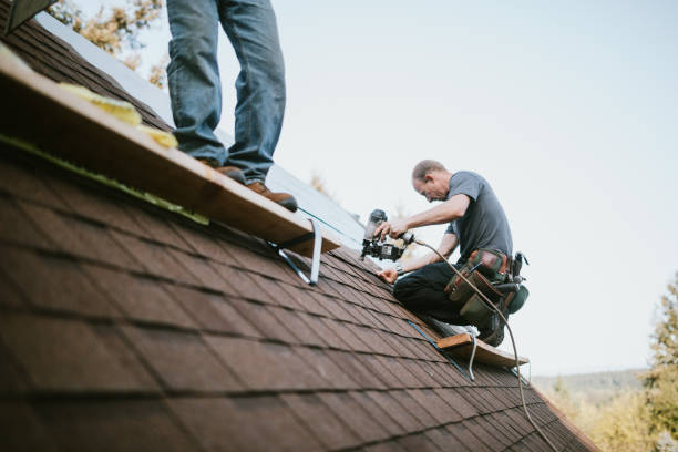 Best Roof Gutter Cleaning  in Columbus Af, MS